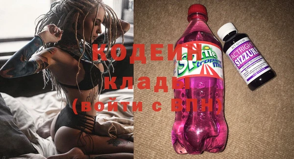 индика Бронницы