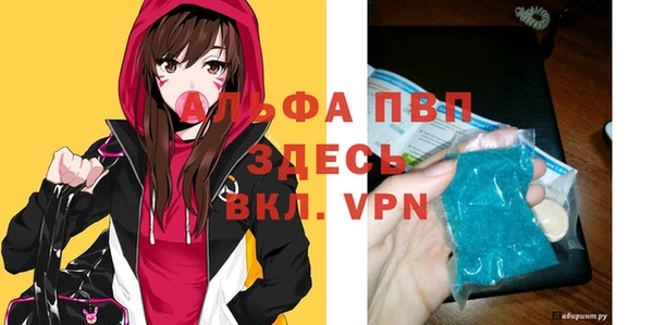 индика Бронницы