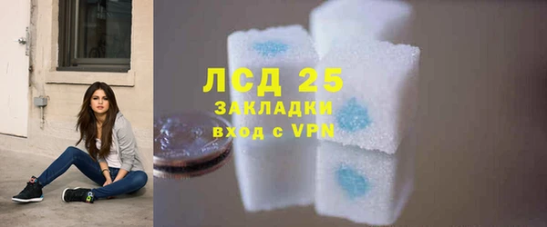 индика Бронницы