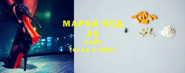 индика Бронницы