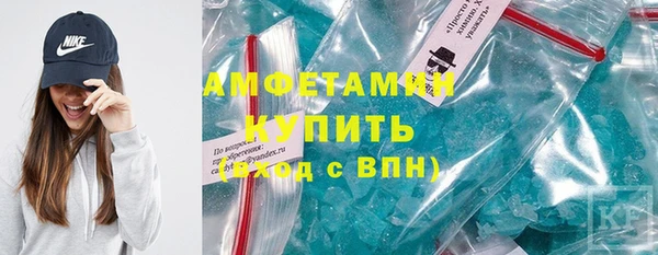 индика Бронницы