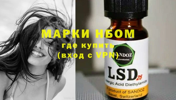 индика Бронницы