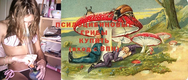индика Бронницы