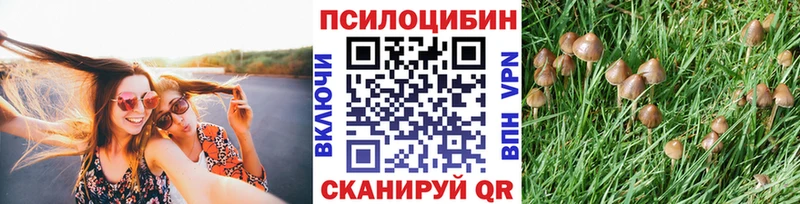 Псилоцибиновые грибы Magic Shrooms Коломна